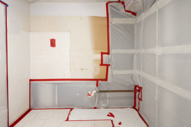 Best Real Estate Mold Inspection  in Tekamah, NE