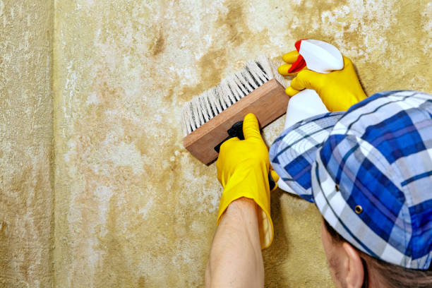 Best Indoor Air Quality Assessment  in Tekamah, NE
