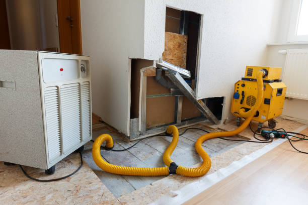 Best Industrial Mold Remediation  in Tekamah, NE